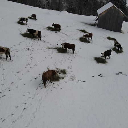 Отель Casa Agroturistica Tarancuta Din Ватра Молдовицей Экстерьер фото